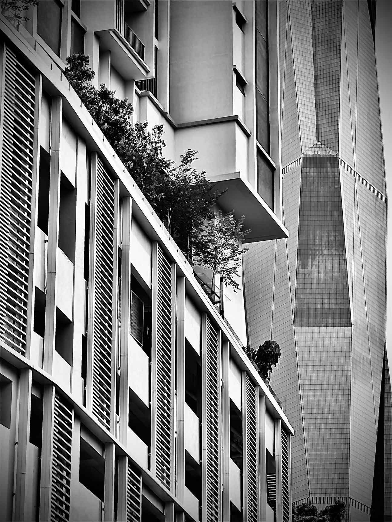 sunway-belfield-img17